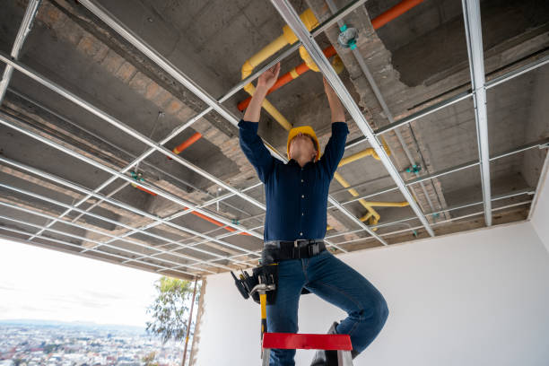 Best Leak Detection Services  in Greenwood, DE