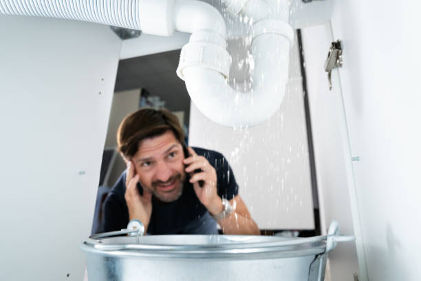 Best Affordable Plumber Near Me  in Greenwood, DE