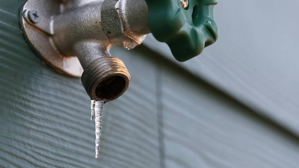 Best Septic Systems  in Greenwood, DE