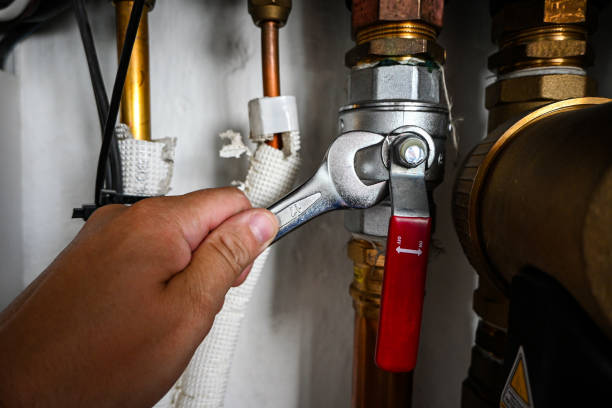 Best Residential Plumbing Services  in Greenwood, DE